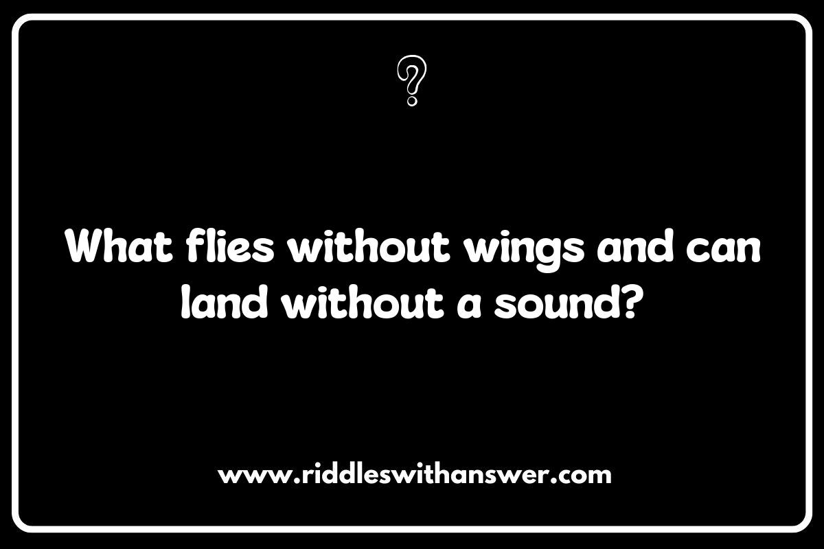 Airplane Riddles That Take Off: Fun for All Ages