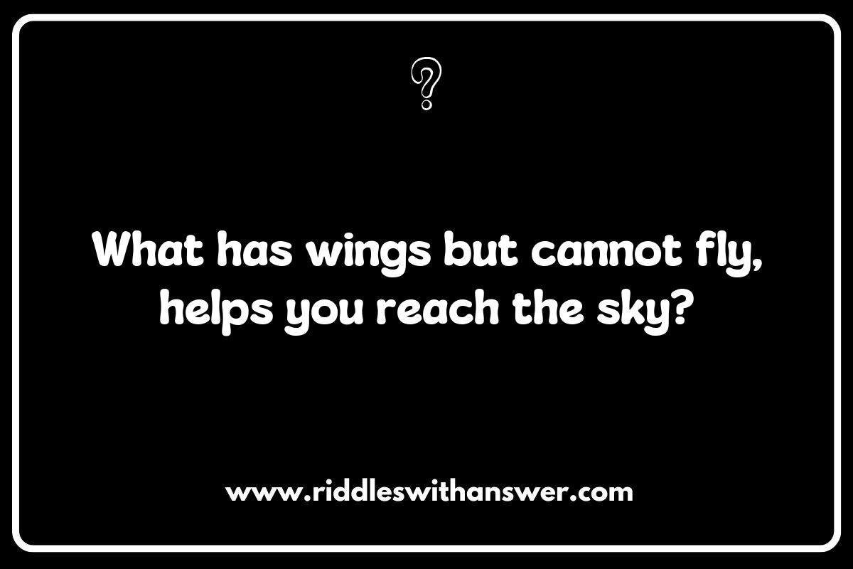 Airplane Safety: Riddles That Take Off with Laughter