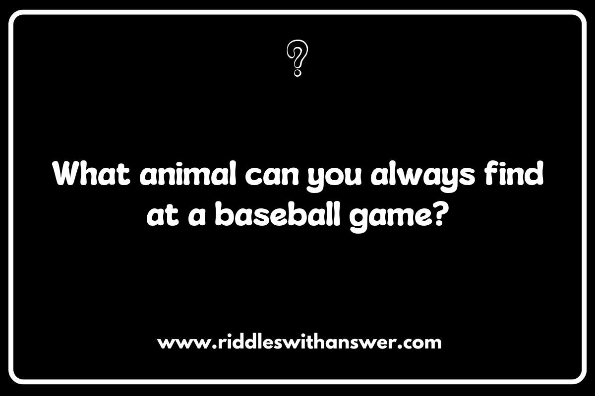 Animal-Themed Silly Riddles: Unleashing Your Inner Child