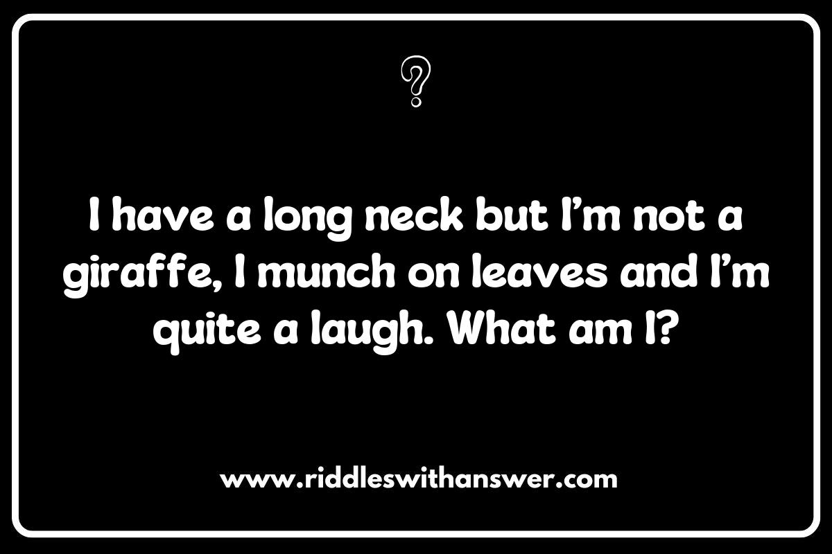 Animal-Themed What Is It Riddles for Nature Lovers