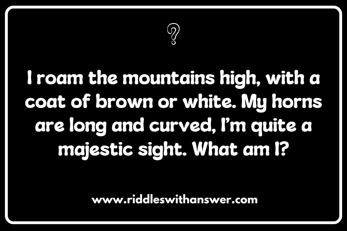 Animal Encounters: Mountain Riddles Featuring Wildlife