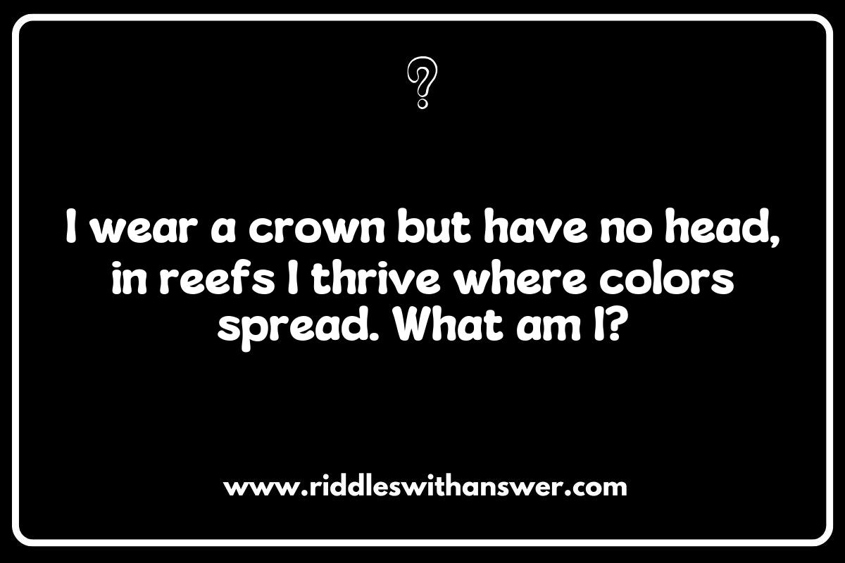 Beneath the Waves: Intriguing Riddles About Unique Fish Species