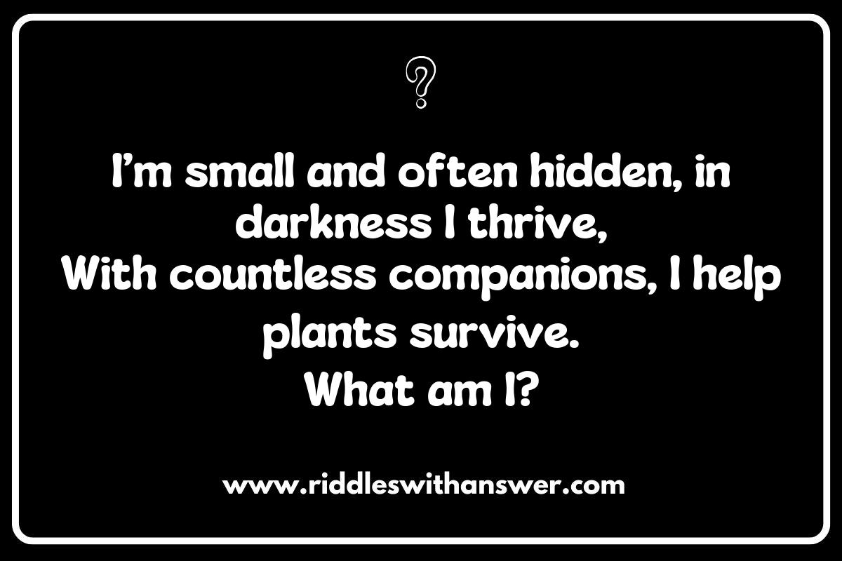 Biodiversity in the Garden: Riddles to Celebrate Soil Life
