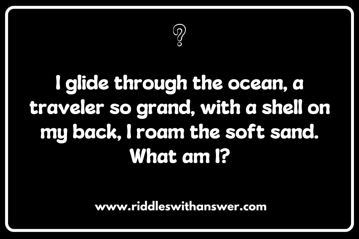 Challenging Sea Turtle Riddles for Nature Lovers