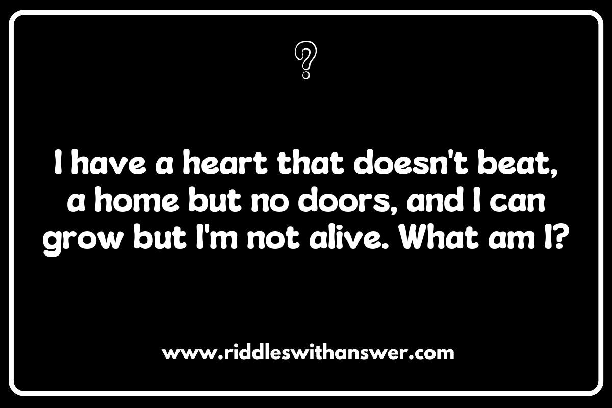 Challenging What Is It Riddles for Older Kids