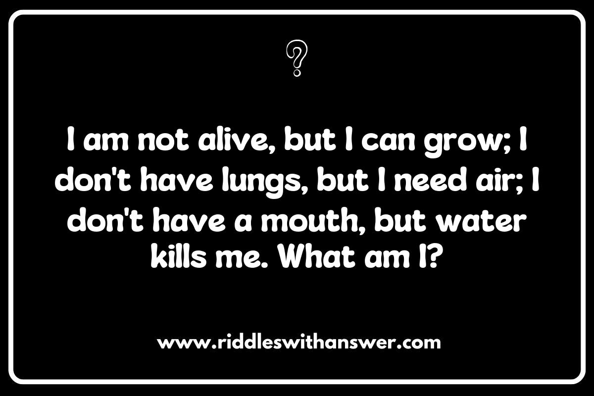 Challenging Word Riddles to Test Your Vocabulary Skills