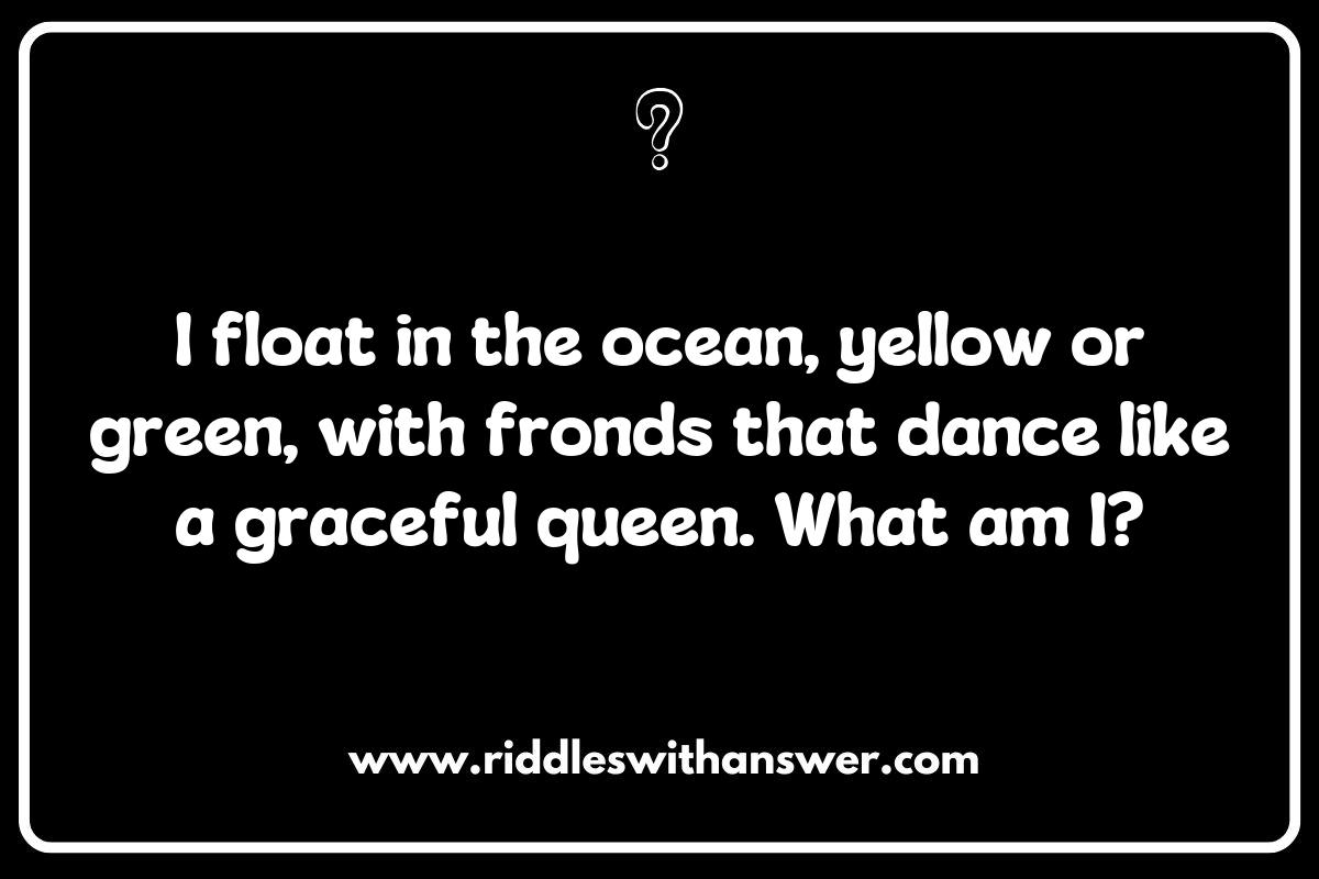 Colorful Varieties: Riddles Highlighting Different Types of Seaweed and Kelp