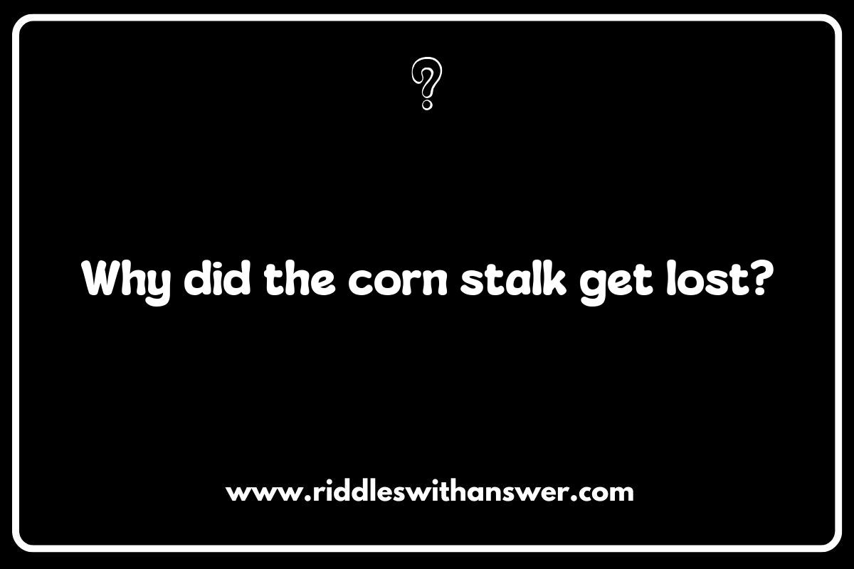 Corny Riddles for Laughs: The Benefits of Laughter in Everyday Life