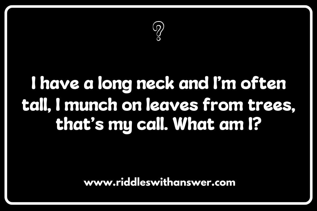 Creating Your Own What is It Animal Riddles for Parties