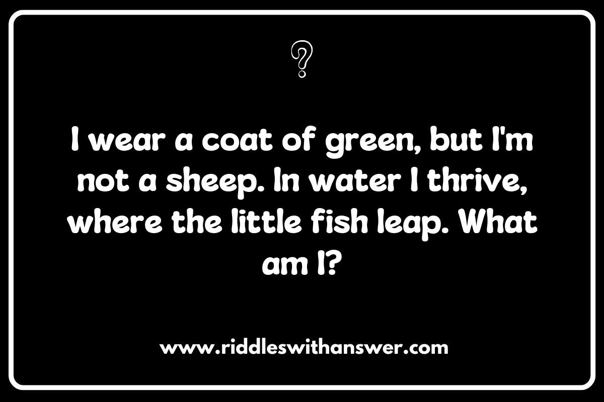 Creative Habitat and Ecosystem Riddles to Foster Awareness and Conservation