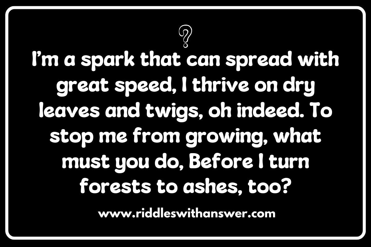 Creative Riddles to Teach Wildfire Prevention Techniques