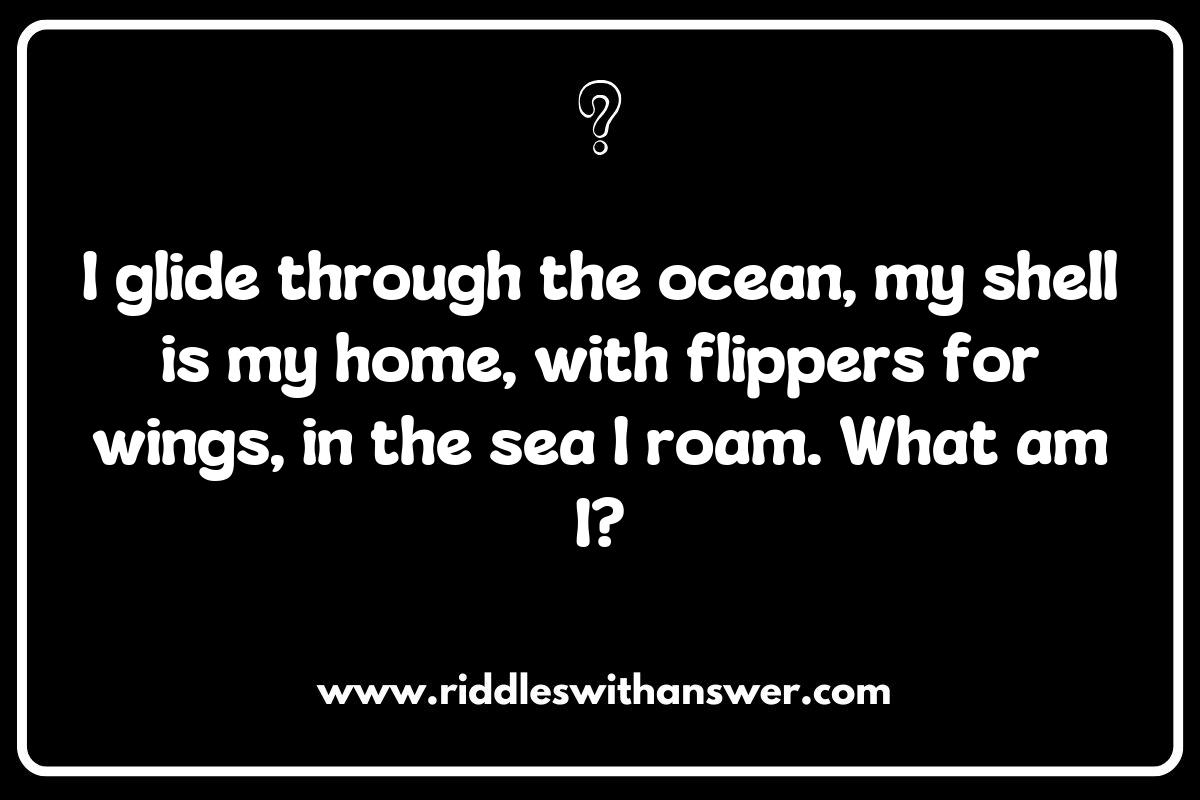 Creative Sea Turtle Riddles for Marine Biology Enthusiasts