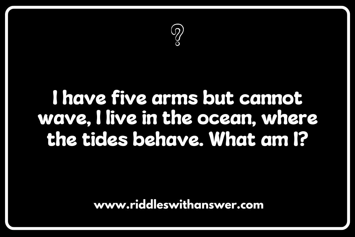 Creative Starfish Riddles for Parties and Gatherings