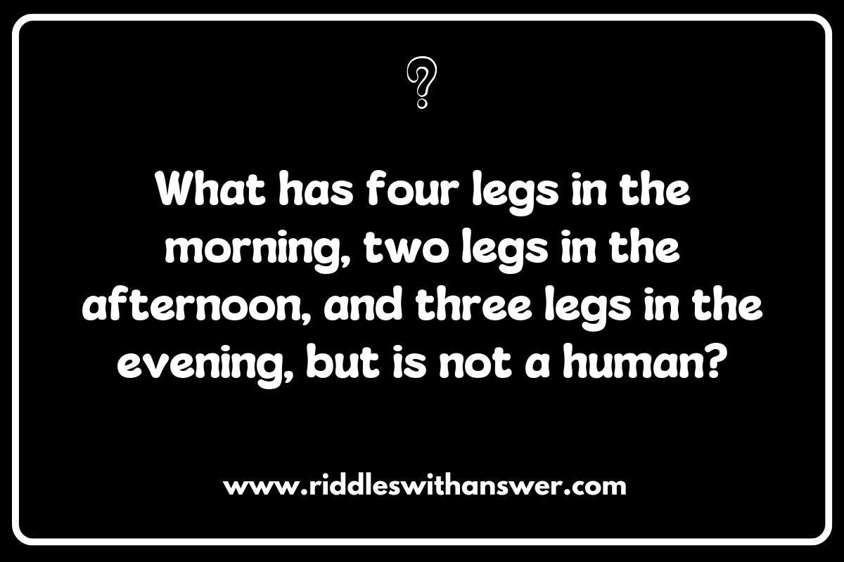 Creative Veterinarian Riddles to Engage Young Animal Lovers