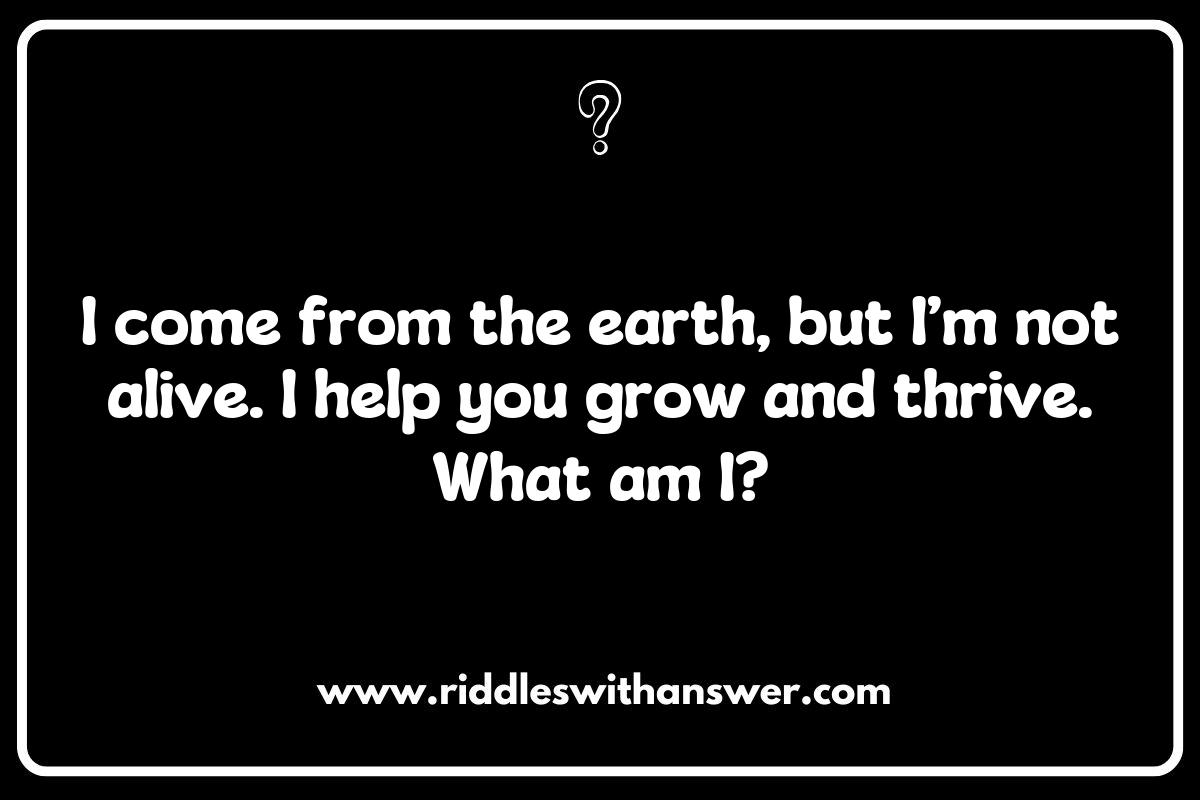 Creative Ways to Use Sustainability Riddles in the Classroom
