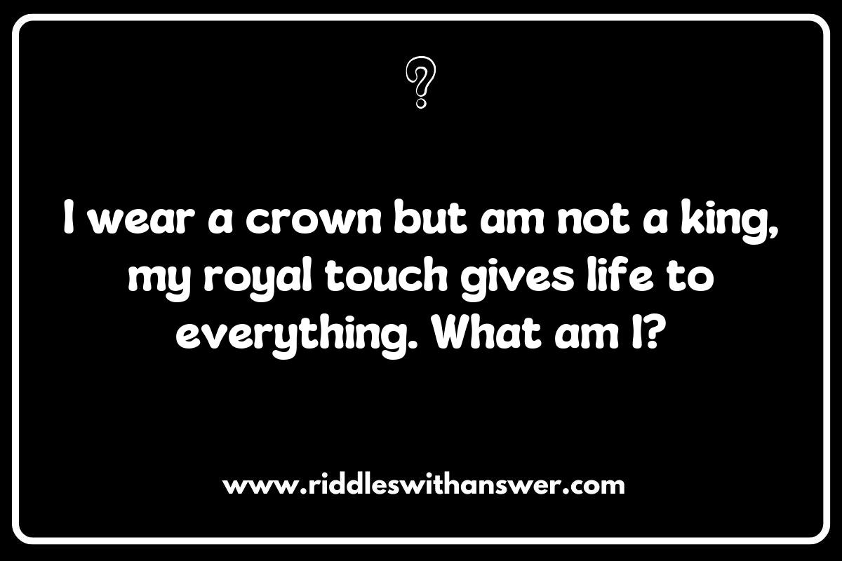 Creative Wordplay in Royal Families Riddles: A Fun Challenge