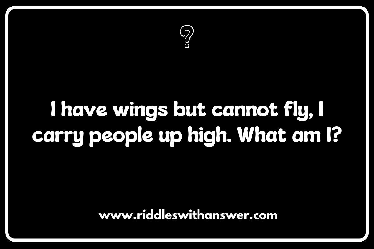 Cultural Influences in Riddles About Airports and Flying Across the Globe