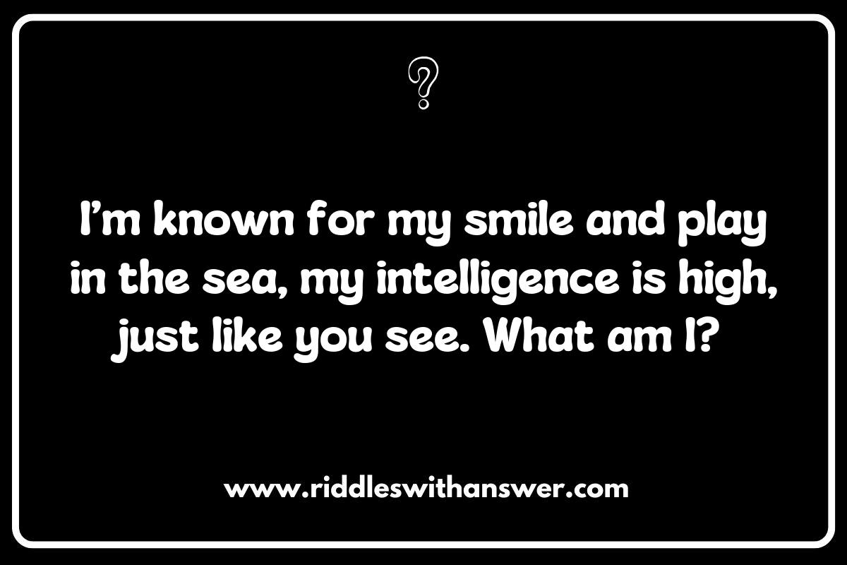 Dolphin Riddles and Facts: Learn While You Play