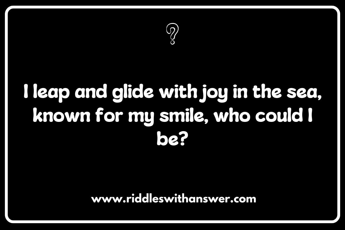 Dolphin Riddles from Around the World: A Global Perspective