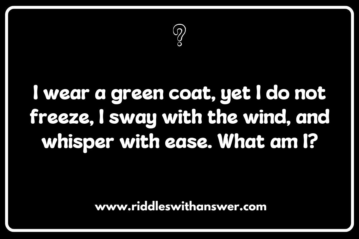 Eco-Friendly Fun: Educational Forest Riddles for Environmental Awareness