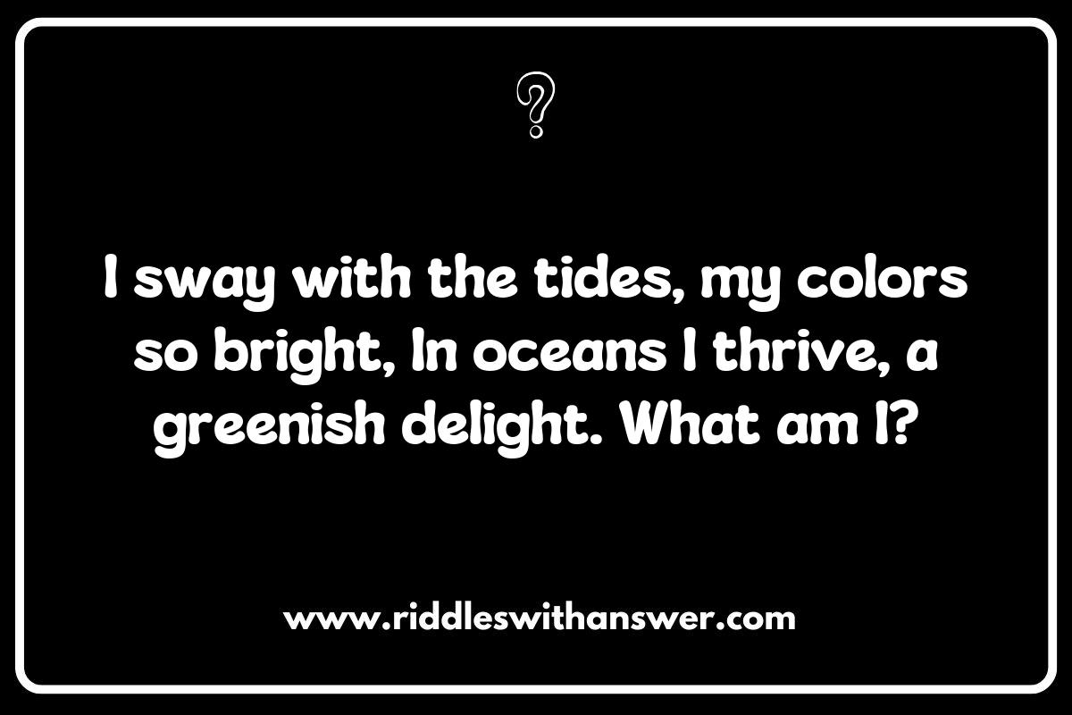 Eco-Friendly Marvels: Riddles Celebrating Seaweed and Kelp Sustainability