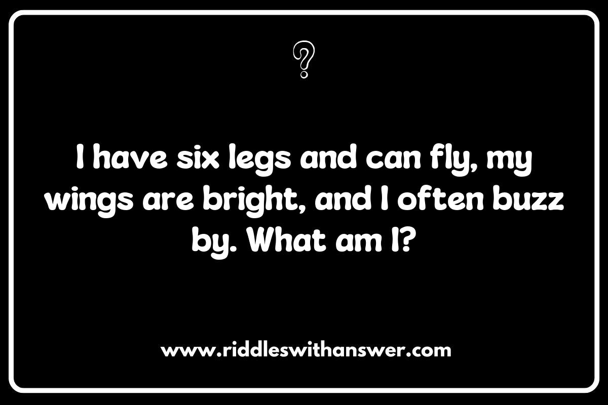 Educational Insect and Bug Riddles: Learning Through Play