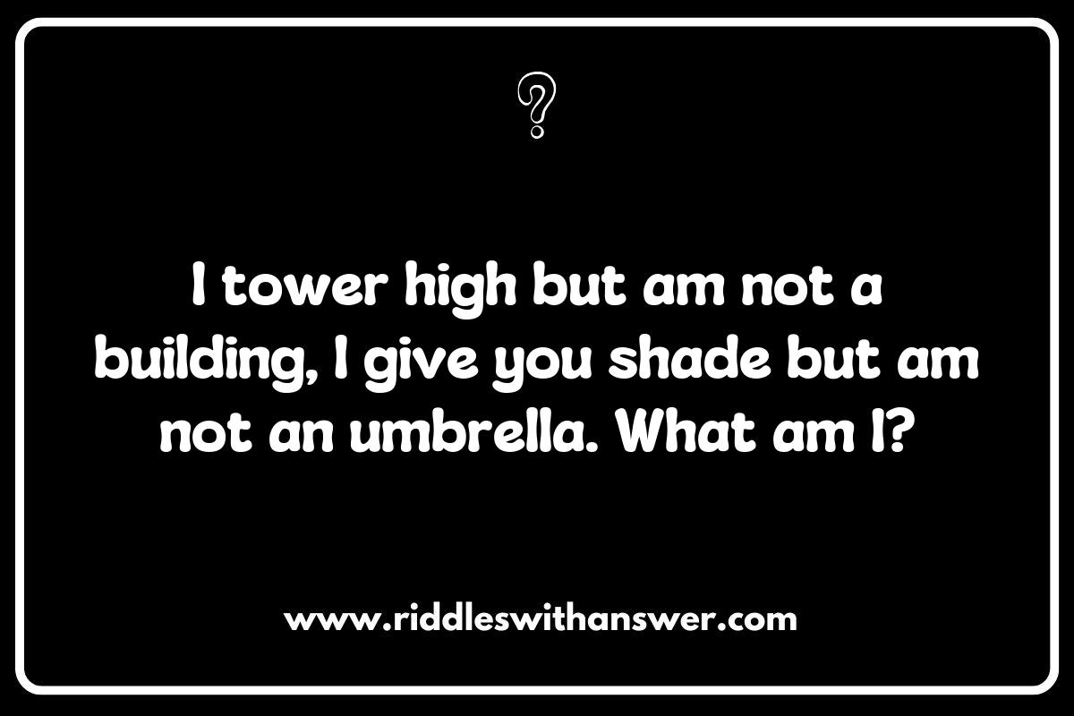 Engaging Communities with Fun Eco-Friendly Riddles
