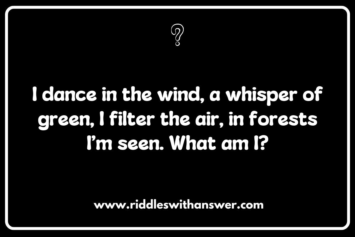 Exploring Cultural Perspectives through Sustainability Riddles