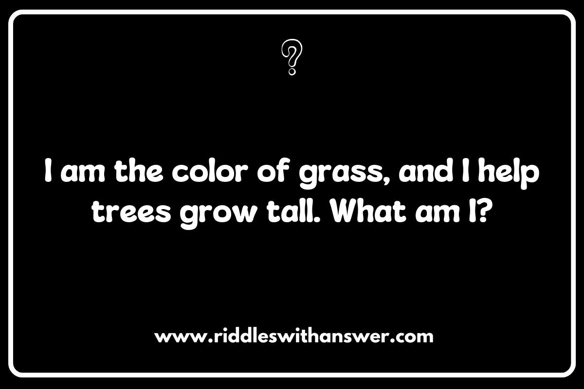 Exploring Nature: Color Riddles for Kids Inspired by the Great Outdoors