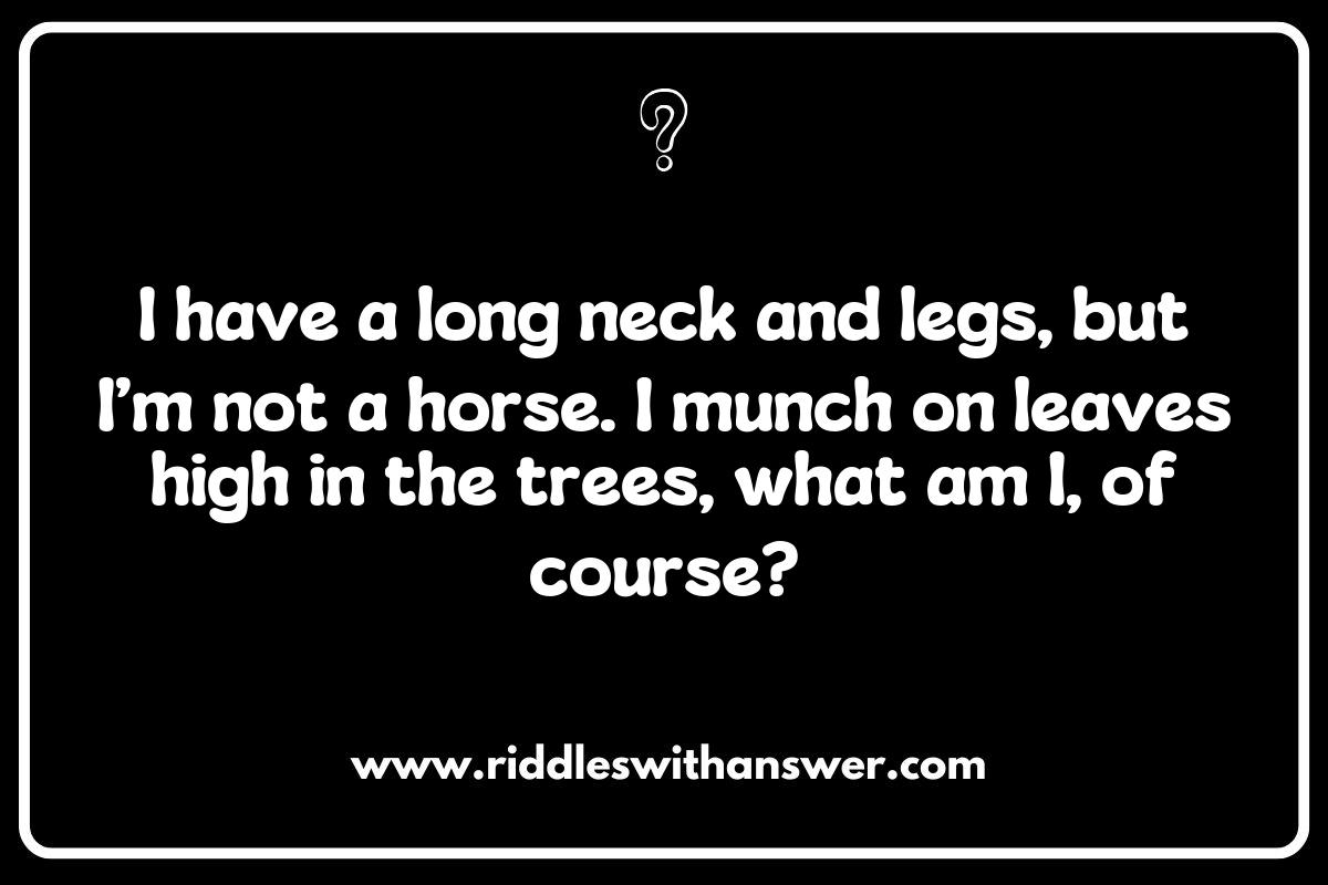 Exploring Nature: Easy What Is It Riddles About Animals