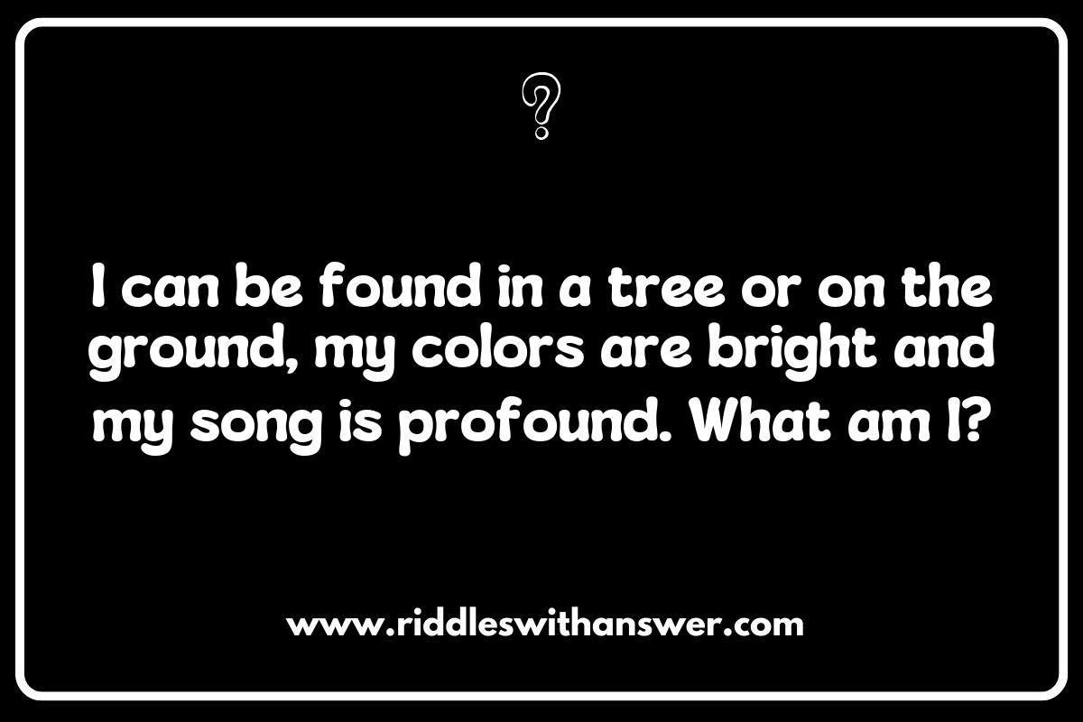 Exploring What is It Animal Riddles: Enhancing Critical Thinking
