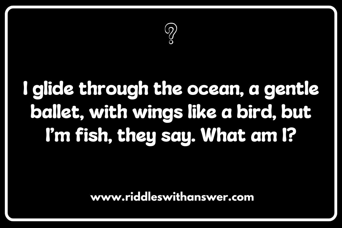 Exploring the Ecosystem: Manta Ray Riddles and Their Habitats