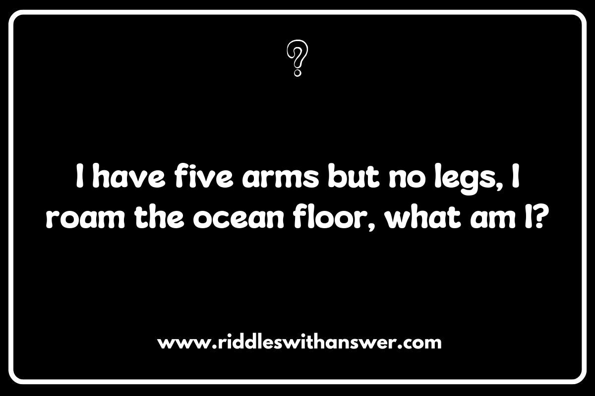 Exploring the Fascinating World of Starfish Riddles