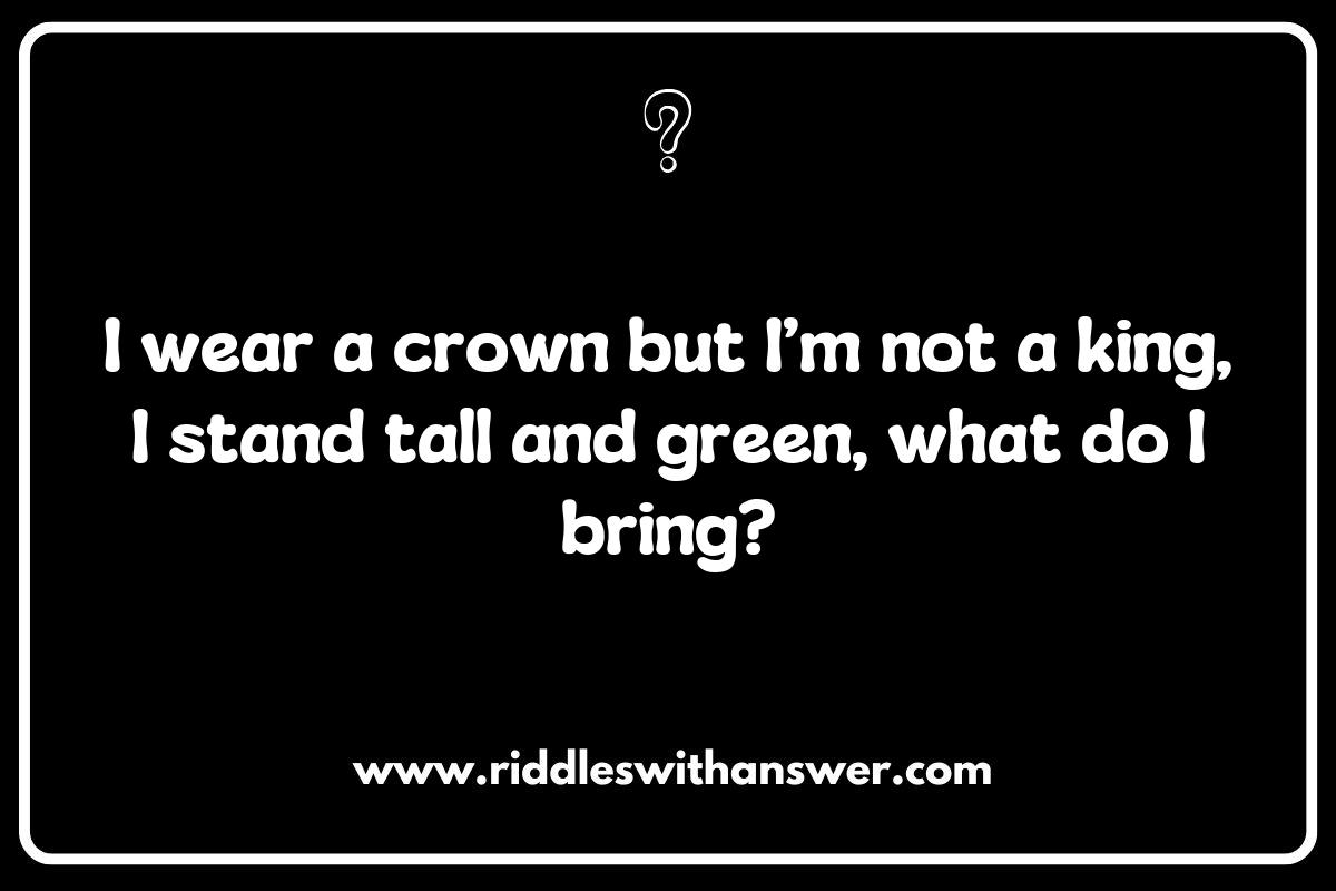 Exploring the Mysteries of Enchanted Forest Riddles