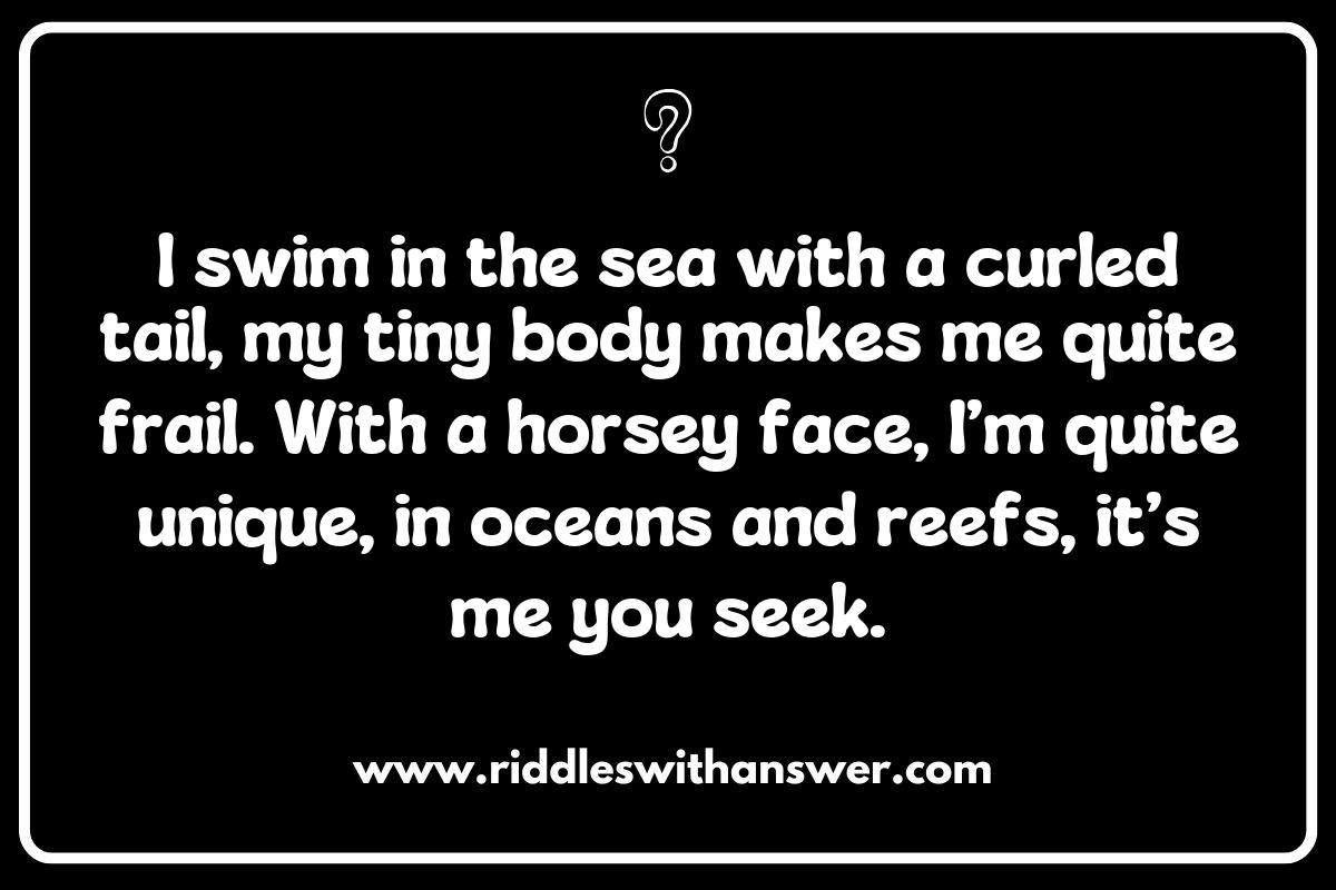 Exploring the Ocean: Seahorse Riddles for Kids