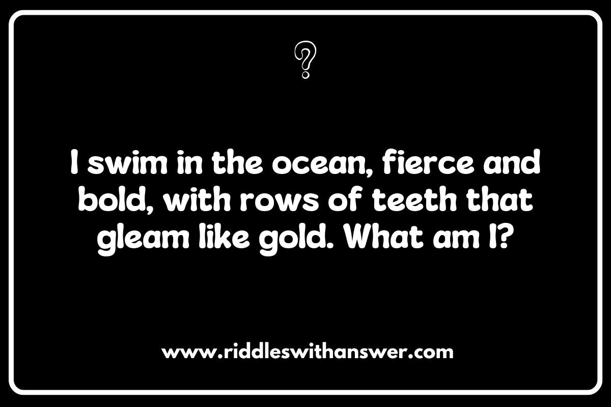 Exploring the Teeth of the Sea: Fun Shark Riddles for Kids