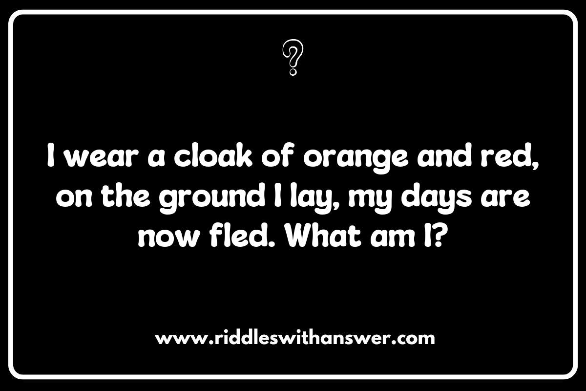 Fall Riddles: Harvesting Fun with Autumn Challenges