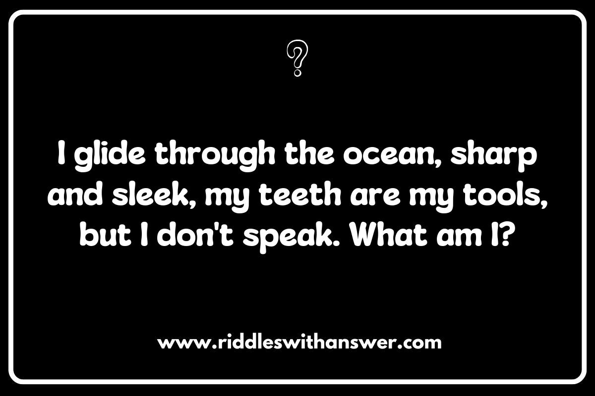 Fin-tastic Shark Riddles to Challenge Your Friends
