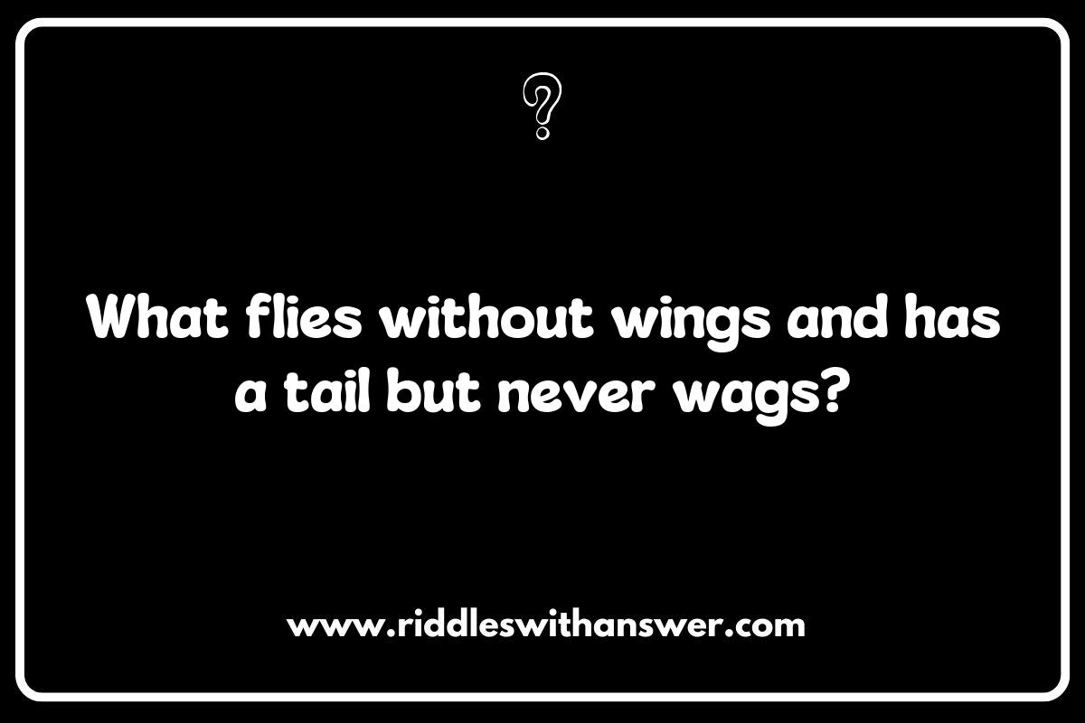 Flight Attendant Funnies: Riddles Featuring Airplanes and Their Crew