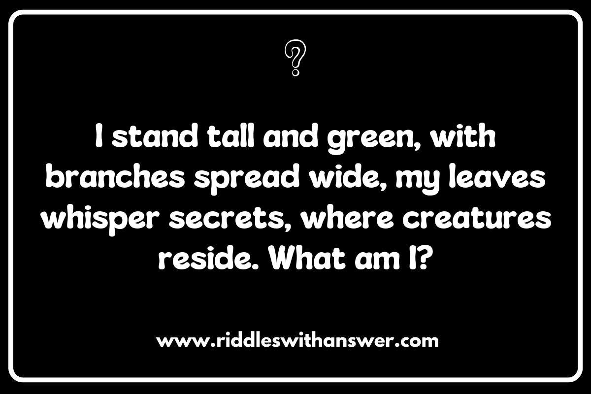 Forest Adventures: Riddles About Hiking and Exploring Green Trails