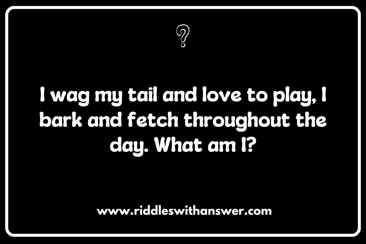 Fun Veterinarian Riddles for Kids to Learn About Animal Health