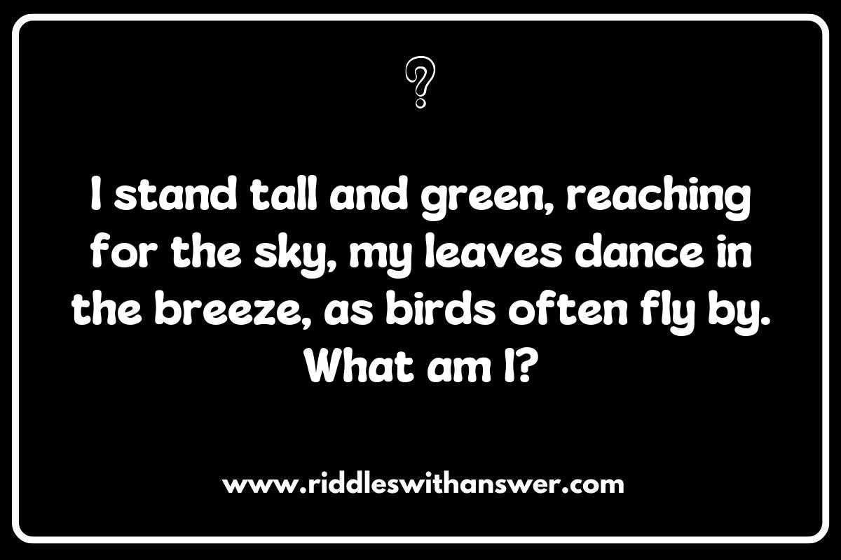 Fun What Am I Riddles for Kids: Nature-inspired Mysteries to Explore the Outdoors