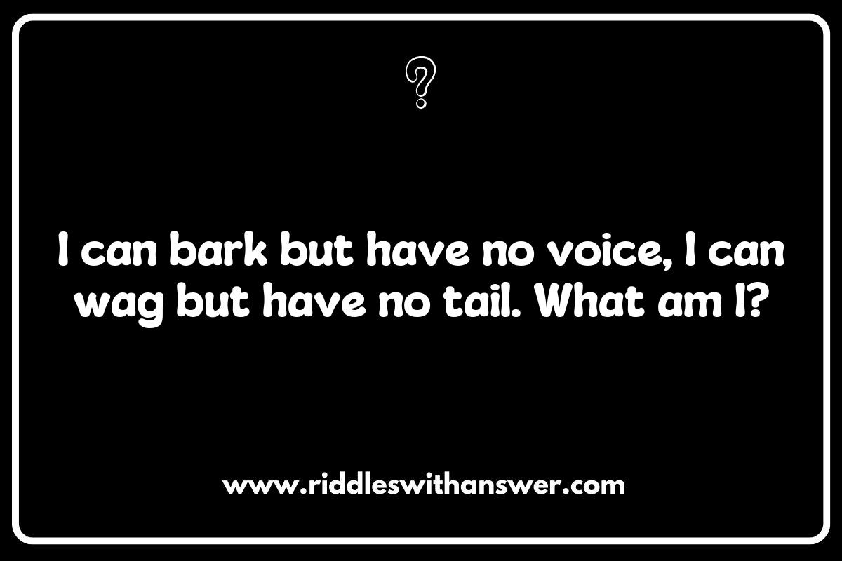 How Veterinarian Riddles Can Enhance Pet Owner Awareness