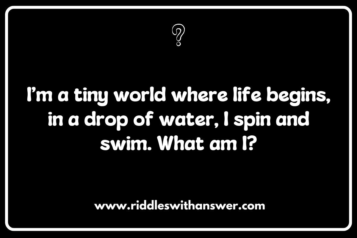 Innovative Riddles Inspired by Groundbreaking Research