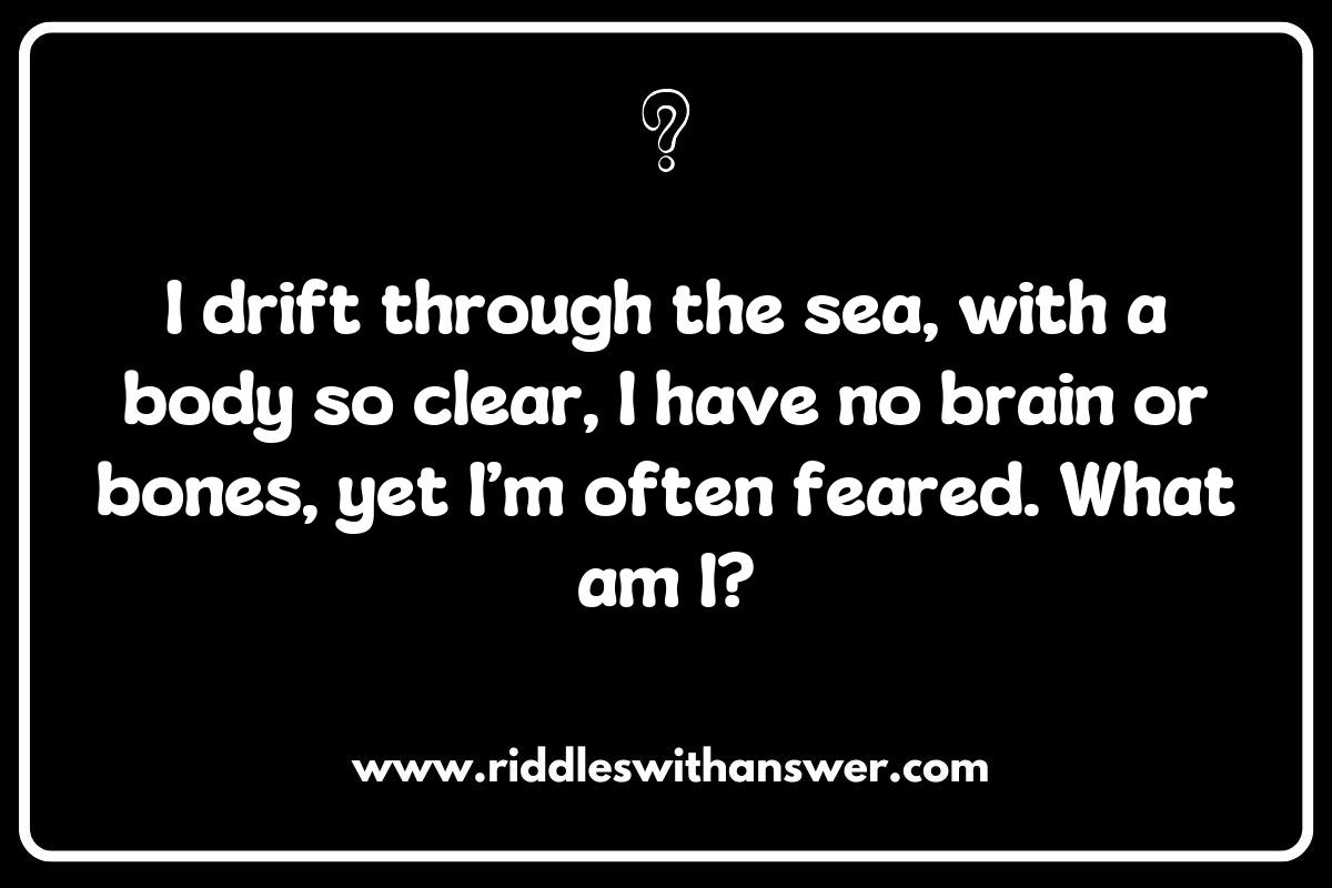 Jellyfish Riddles: A Dive into Ocean Trivia