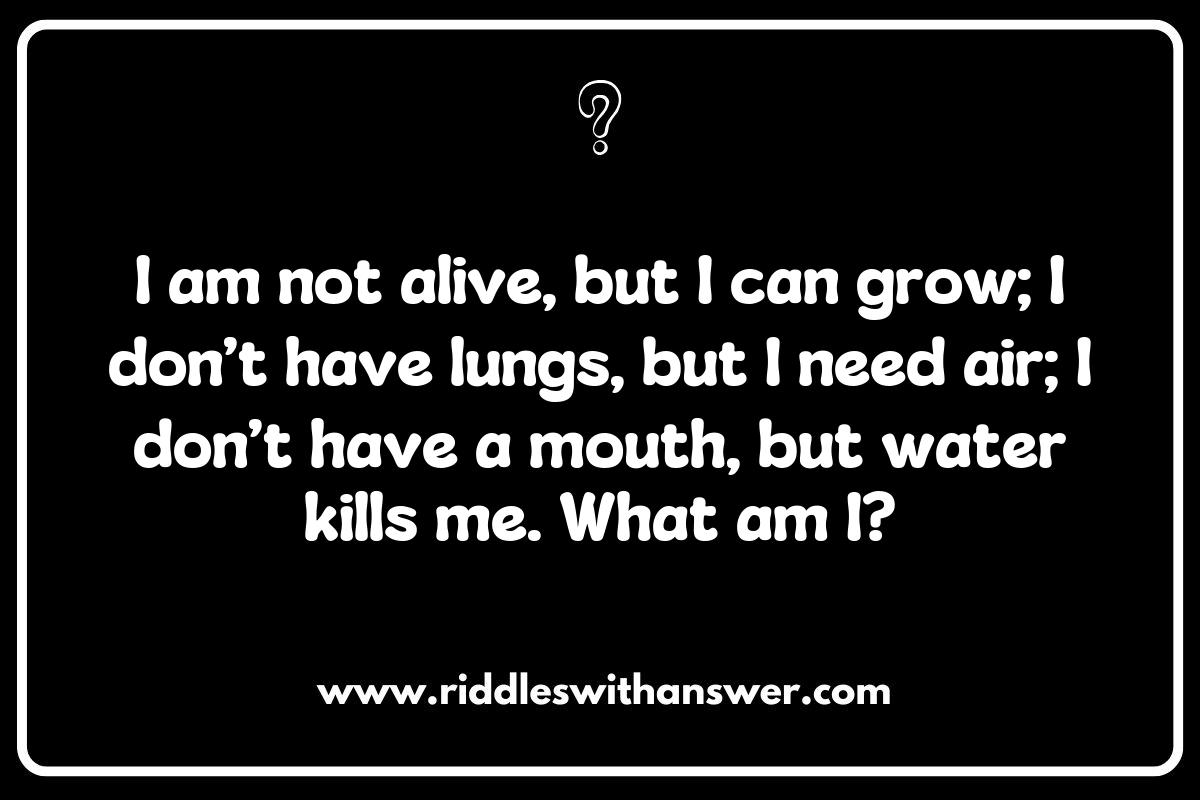 Long Riddles for Adults: A Fun Way to Stimulate Creativity and Imagination