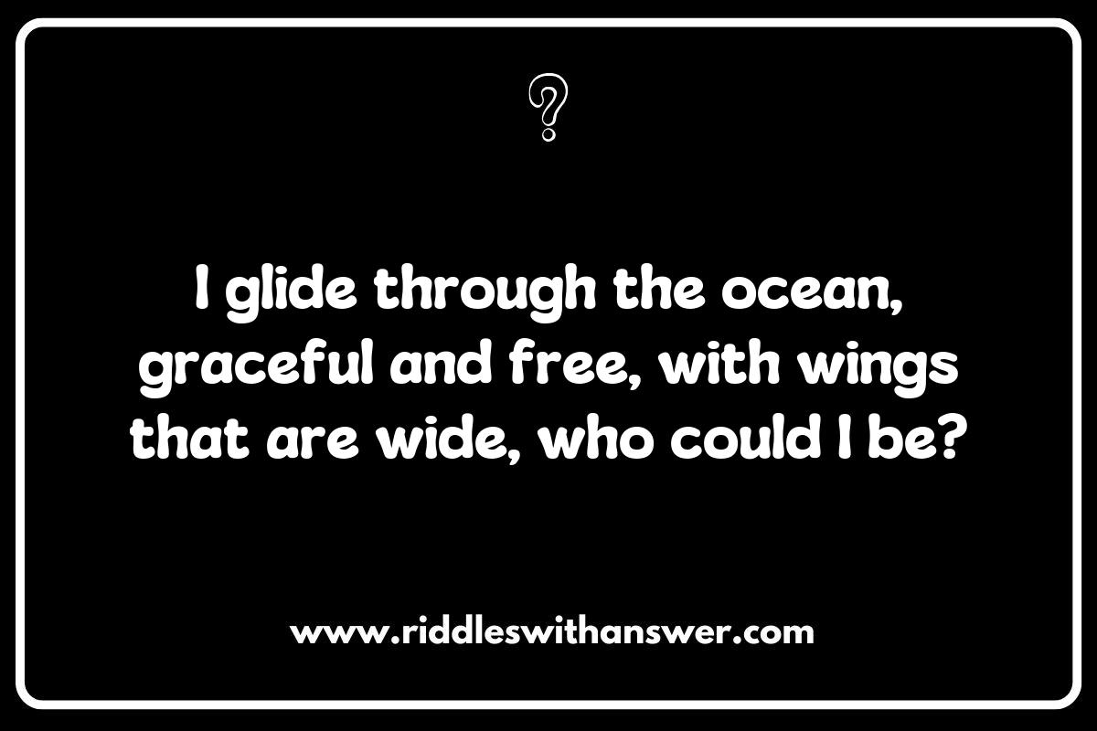 Manta Ray Riddles: Dive into the Depths of Ocean Mysteries