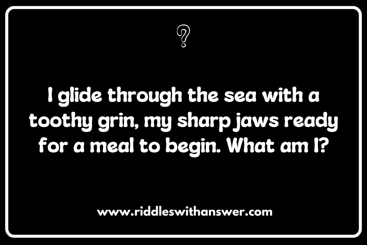 Mysteries of the Deep: Brain-Teasing Shark Riddles