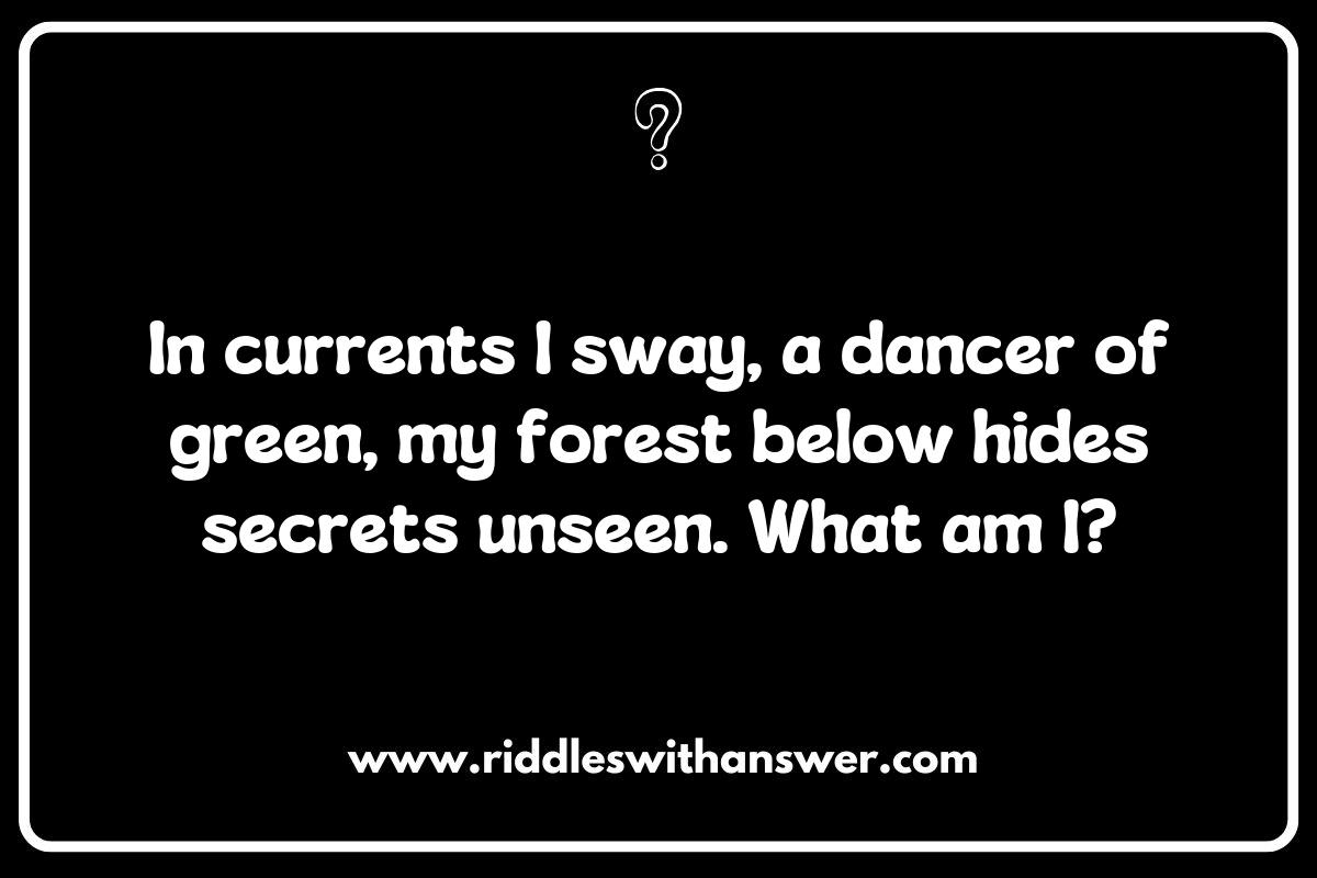Mystical Creatures: Riddles Inspired by Seaweed and Kelp