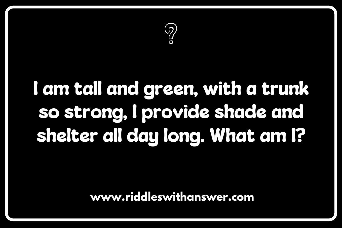 Nature Riddles for Kids: Exploring the Wonders of the Outdoors